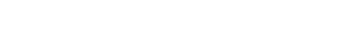 Brain Academy Logo